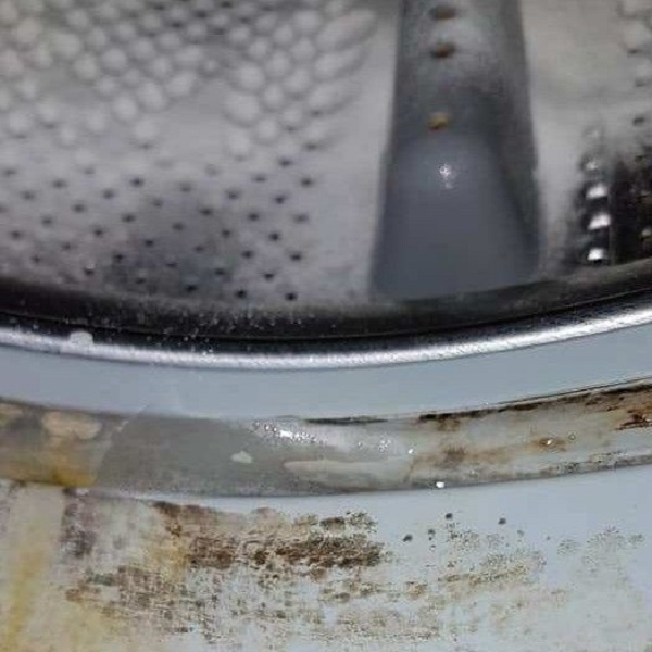 Black Mold Danger in Washer