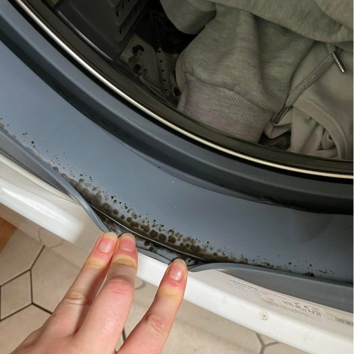 Black Mold Danger in Washer