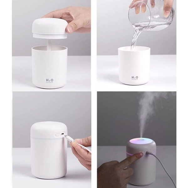 Humidifier and Air Purifier