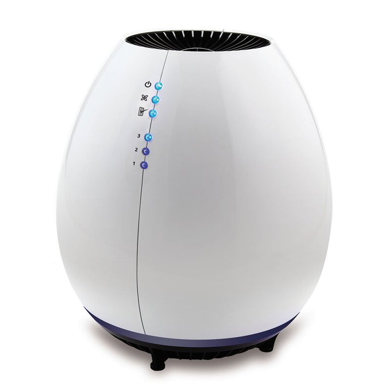 Air Ionizer vs. Air Purifier