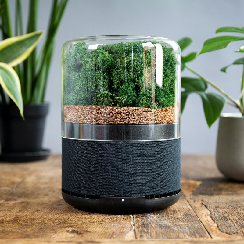 Algae Air Purifier