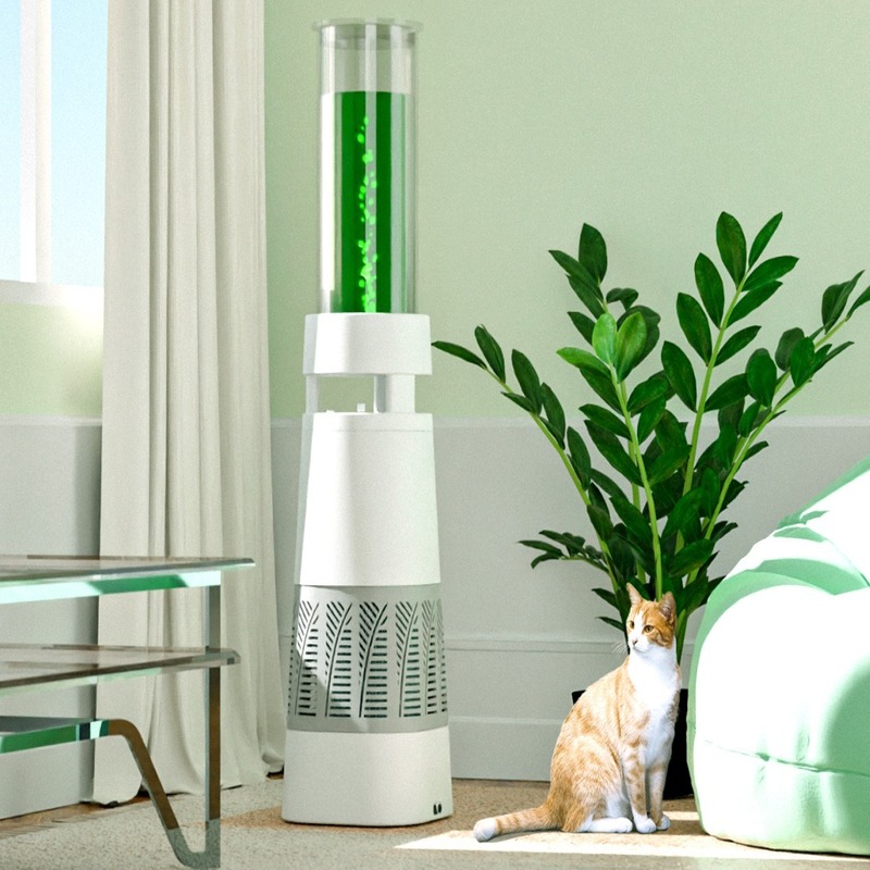 Algae Air Purifier