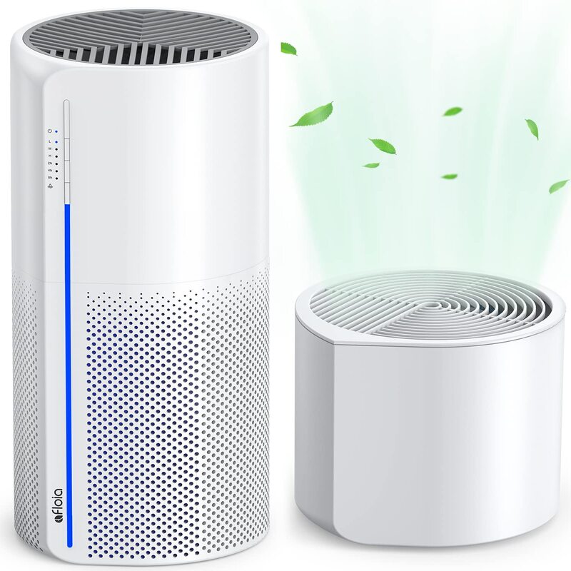 Humidifier and Air Purifier