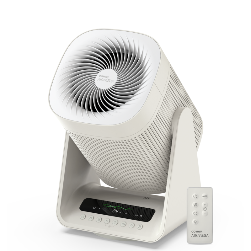 Purpose of an Air Purifier