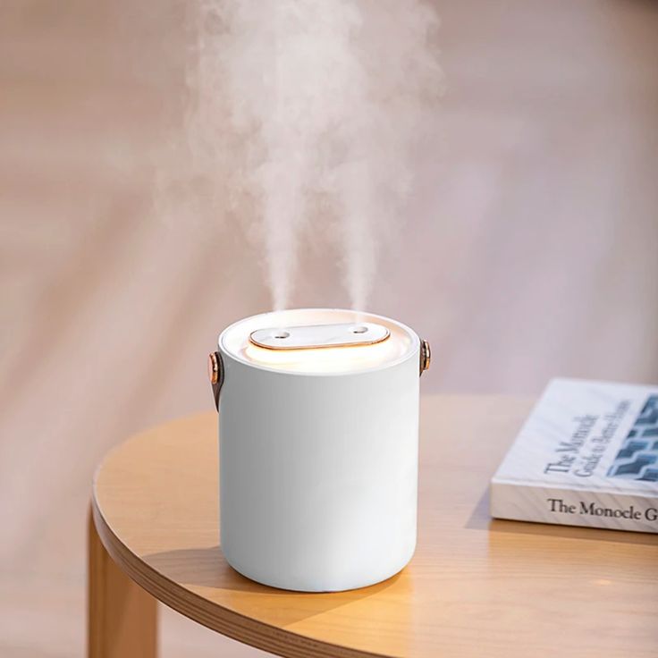 can a humidifier make you sick?