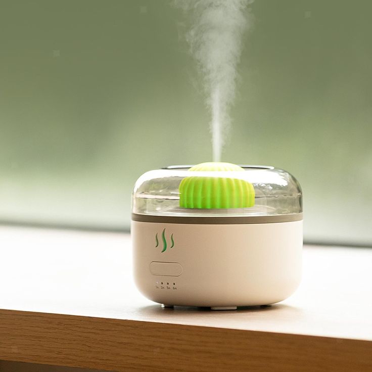 air humidifier