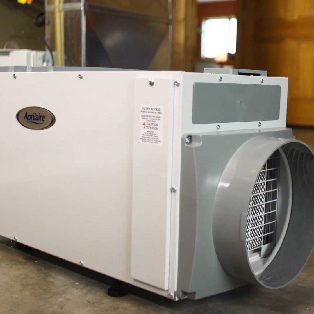 basement dehumidifier