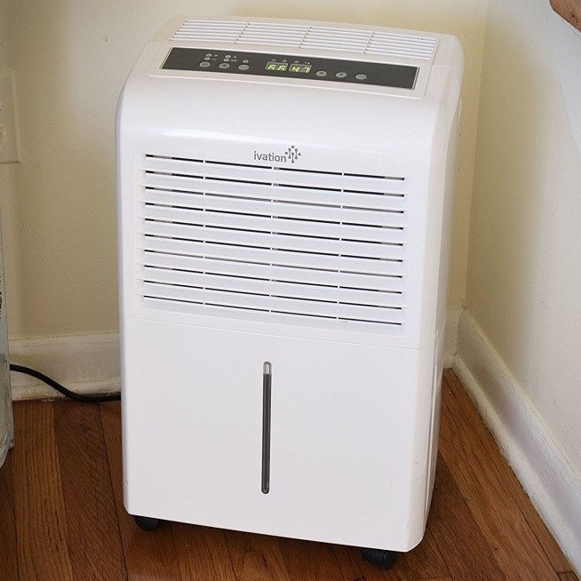 best dehumidifier for basement