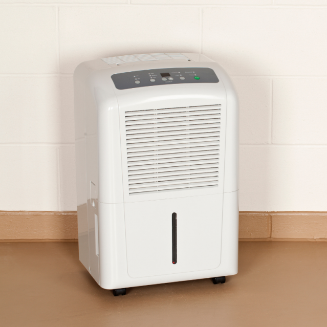 best dehumidifier for basement