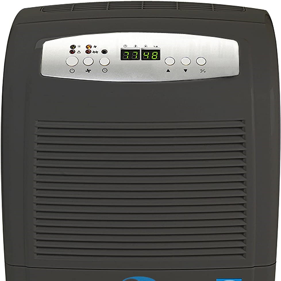 best dehumidifier for basement