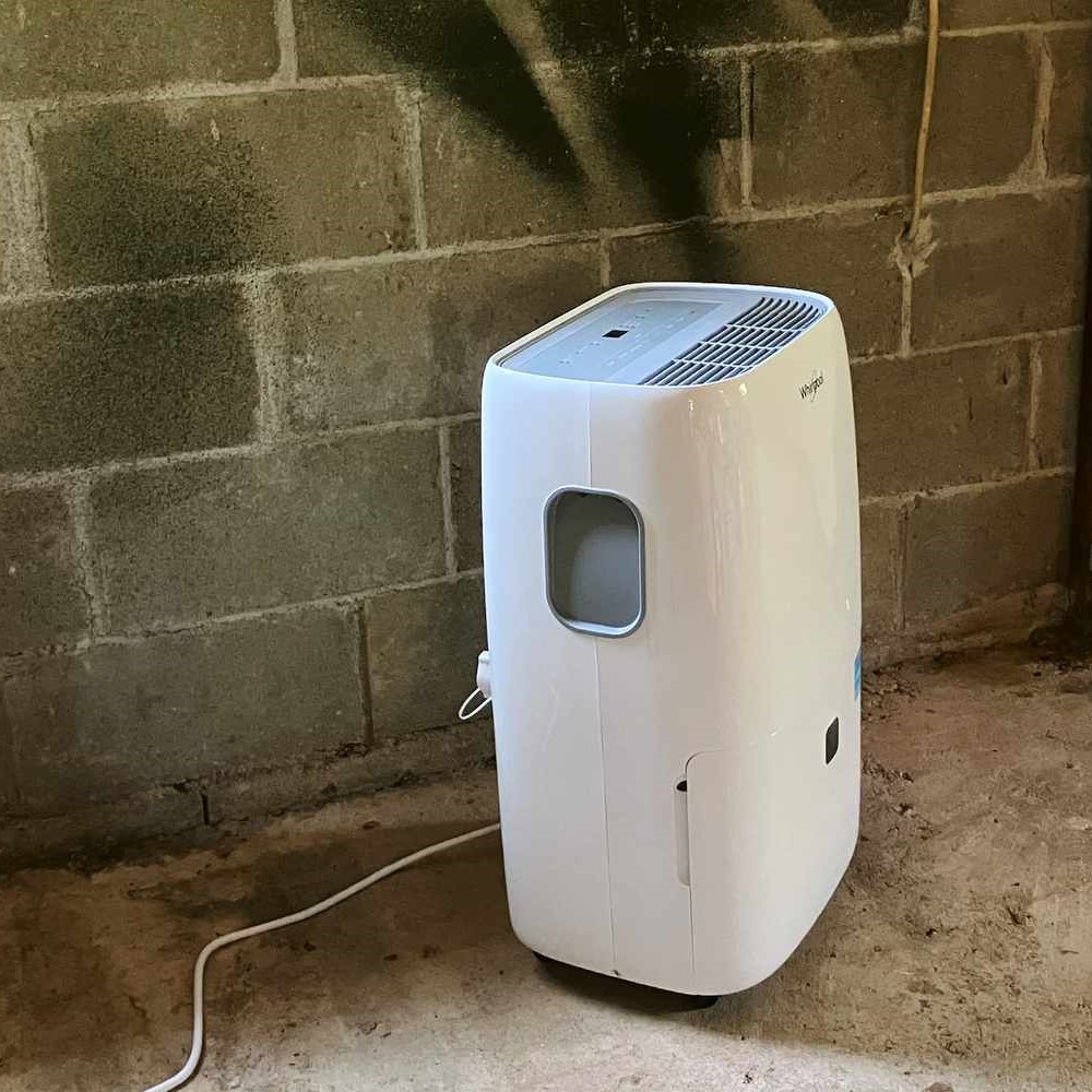 basement dehumidifier