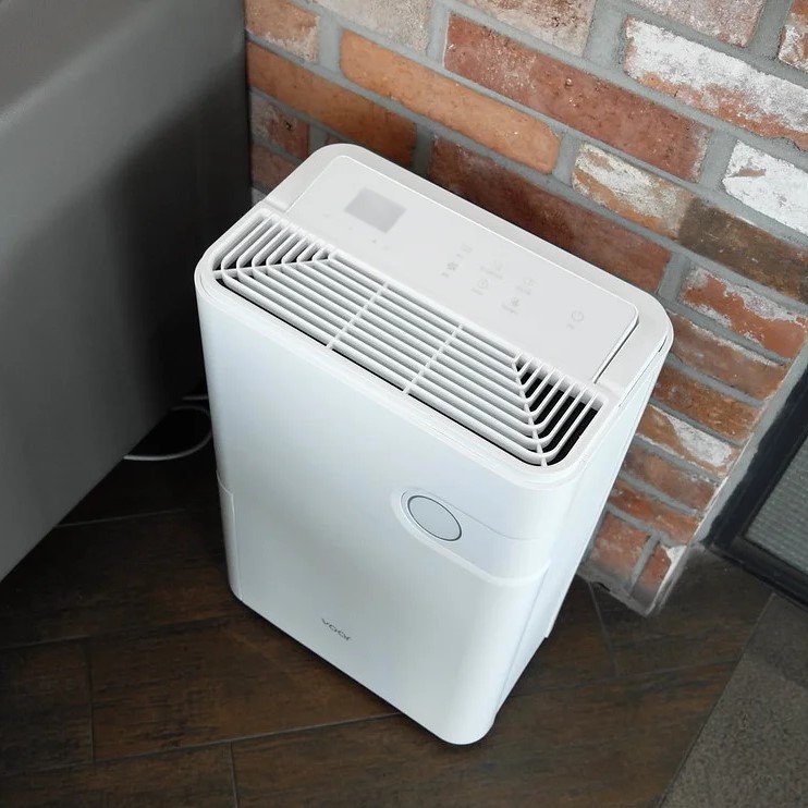 dehumidifier basement