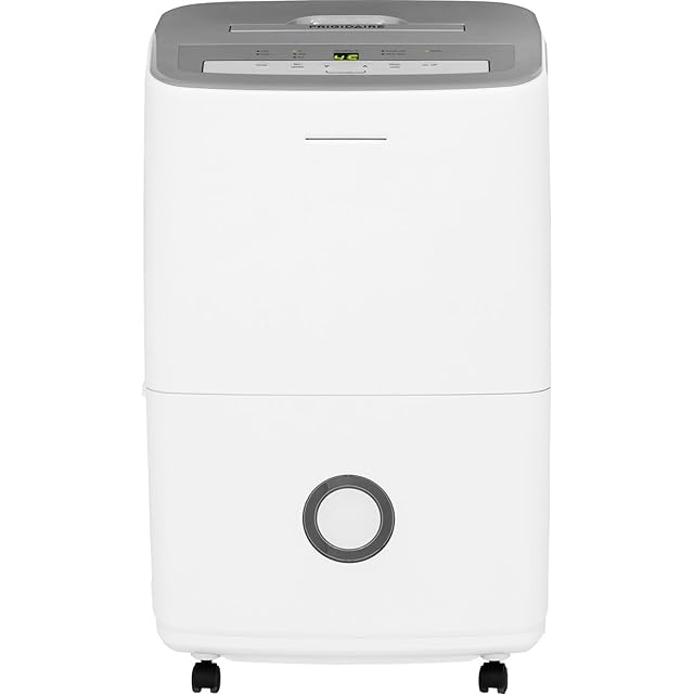 dehumidifier for mold