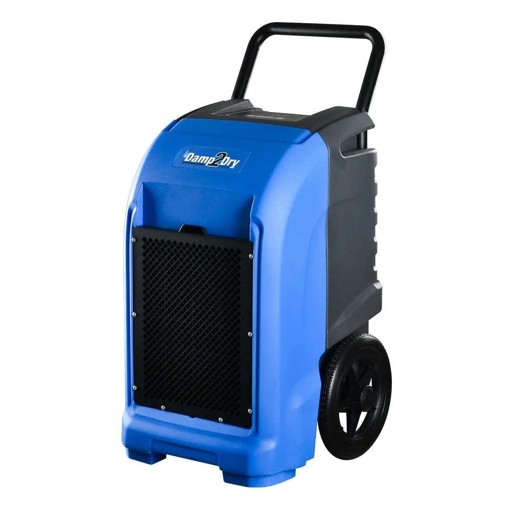 dehumidifier for mold