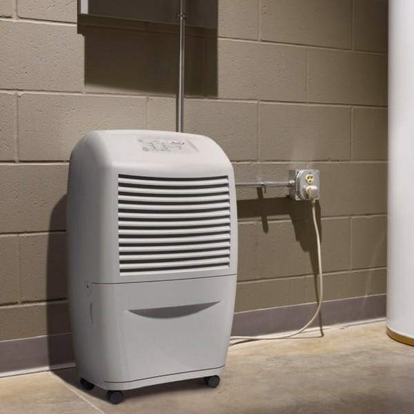 best dehumidifier basement