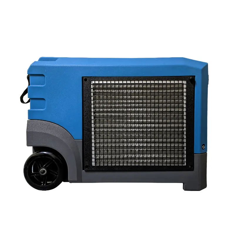 dehumidifier for mold