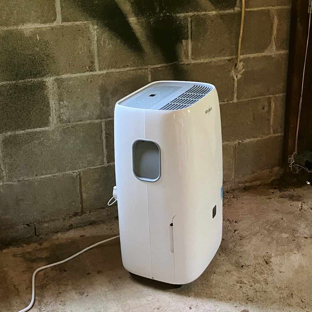 best dehumidifier basement