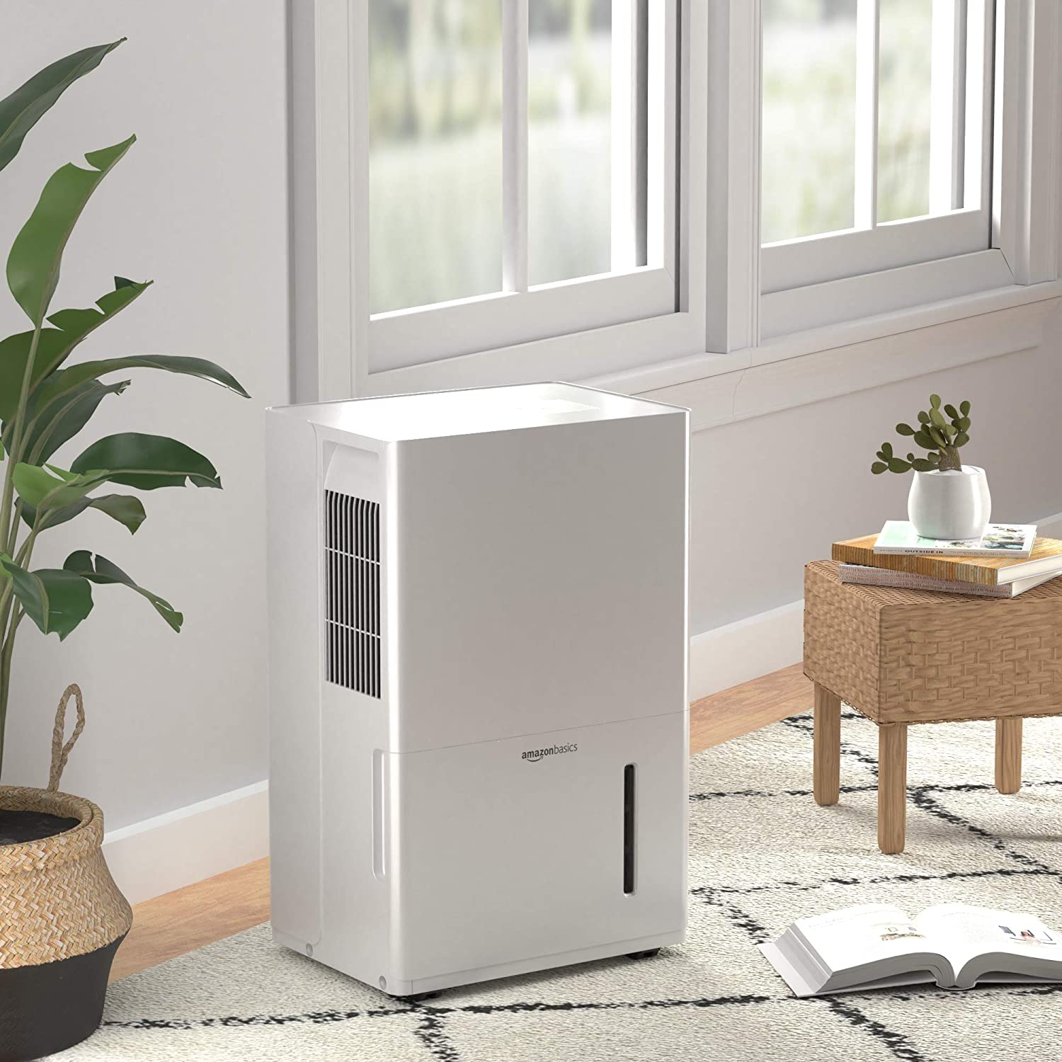 best home dehumidifier