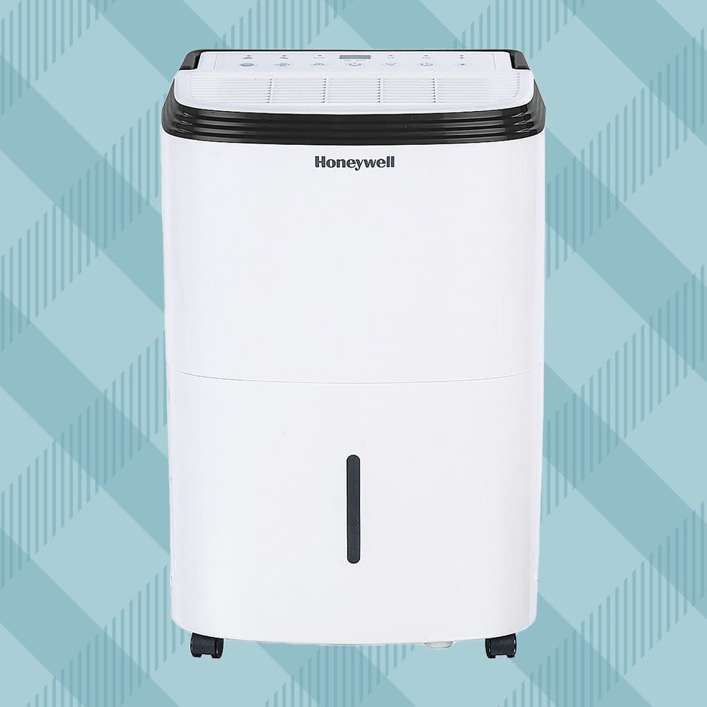 best home dehumidifier