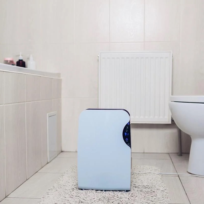 dehumidifier for bathroom