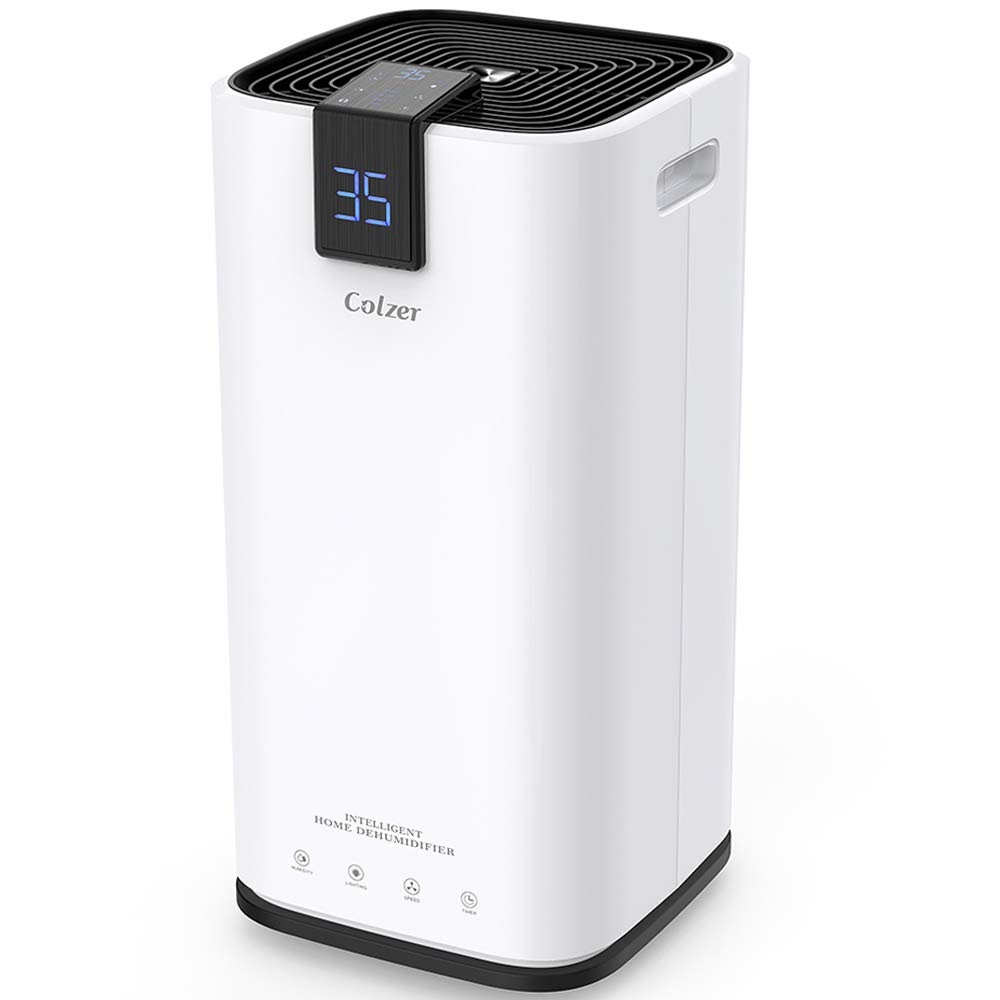 best dehumidifier for house